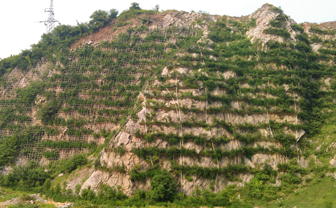 黄荆山.png